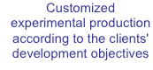 Customized experimental production according to the clients' development objectives