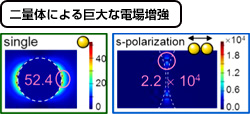 二量体による巨大な電場増強