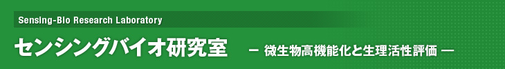 �Z���V���O�o�C�I������
