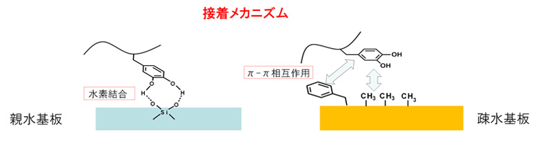 株式会社 kri