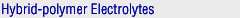 Hybrid-polymer Electrolytes