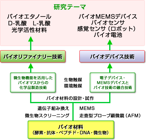 (1)遺伝子組み換えや微生物スクリーニングをもってバイオ材料の機能を利用したバイオフィライナリー技術を元に、バイオエタノールやD-乳酸、L-乳酸、光学活性材料などを研究テーマとして展開します。(2)電子デバイスやMEMSデバイスとバイオ技術を融合し、バイオMEMSデバイスやバイオセンサなどの開発をテーマに展開します。