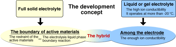 The development concept