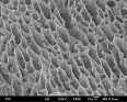 隔壁部分はメソ細孔を有する