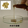 木材の溶解