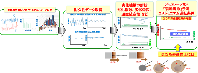 現地寿命シミュレーション
