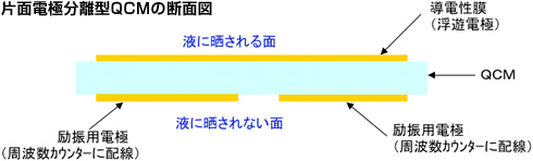 片面電極分離型QCMの断面図