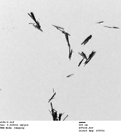 Fig.1 ZrW2O7(OH)2(H2O)2TEM