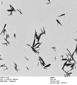 Fig.2 ZrW2O8TEM