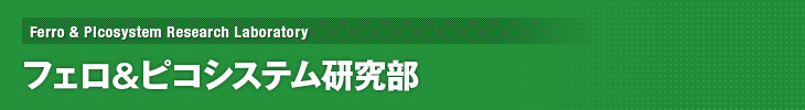 tFsRVXe