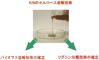 KRIのセルロース溶解技術を用いて、バイオマス溶解技術とリグニン分離技術の確立を目指します